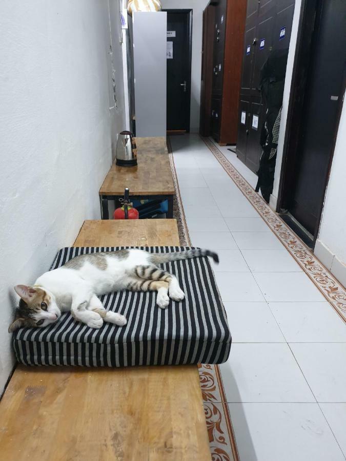 Starfish Alley Hostel Da Nang Luaran gambar